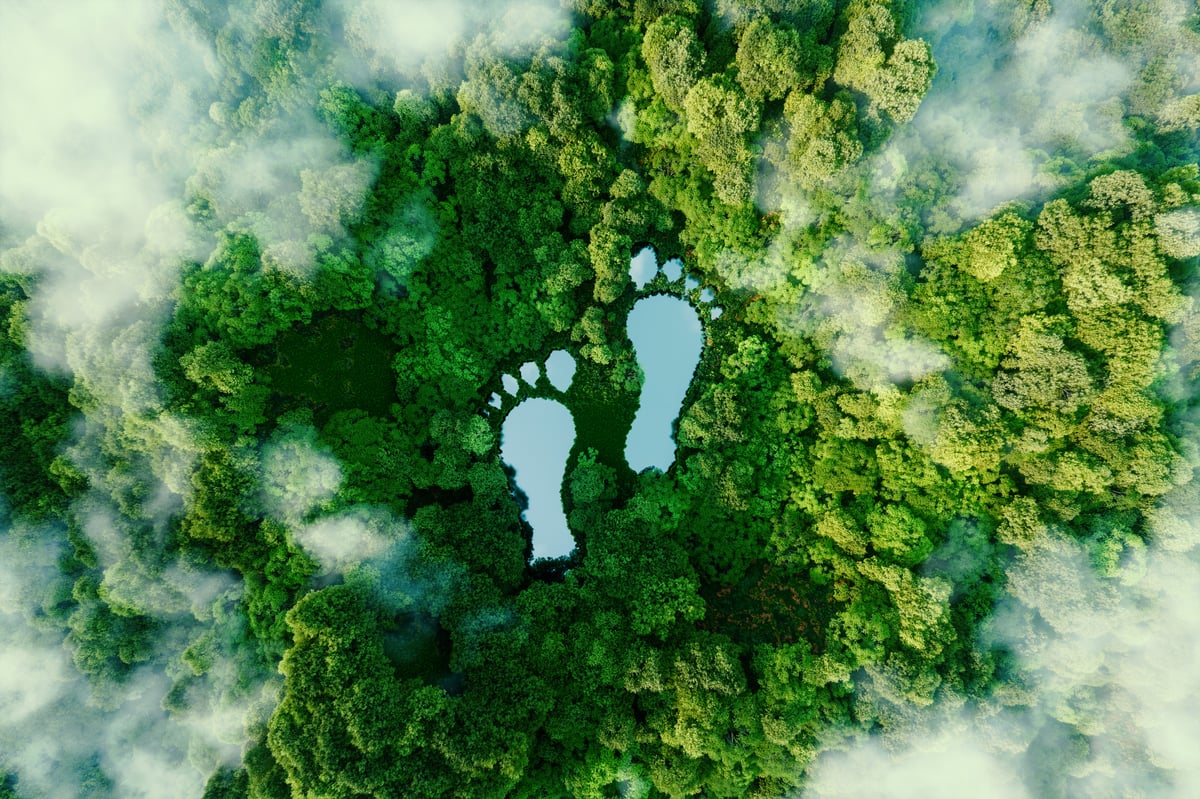 co2 footprint